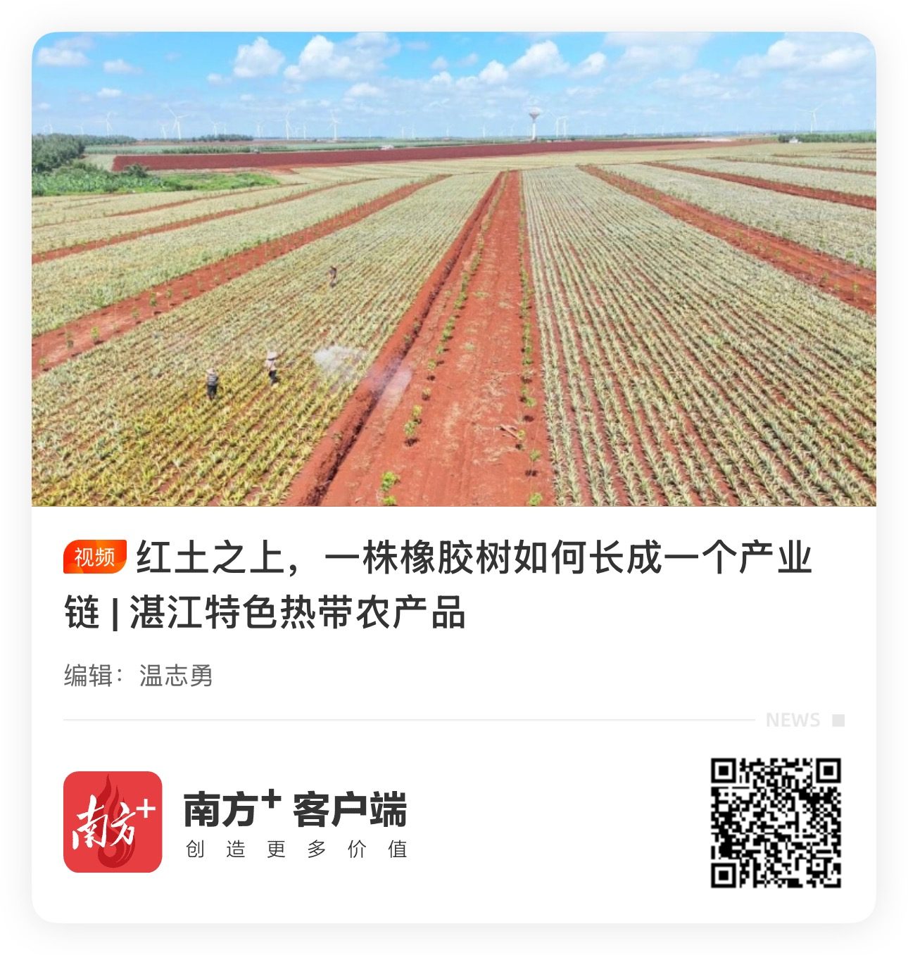 橡胶