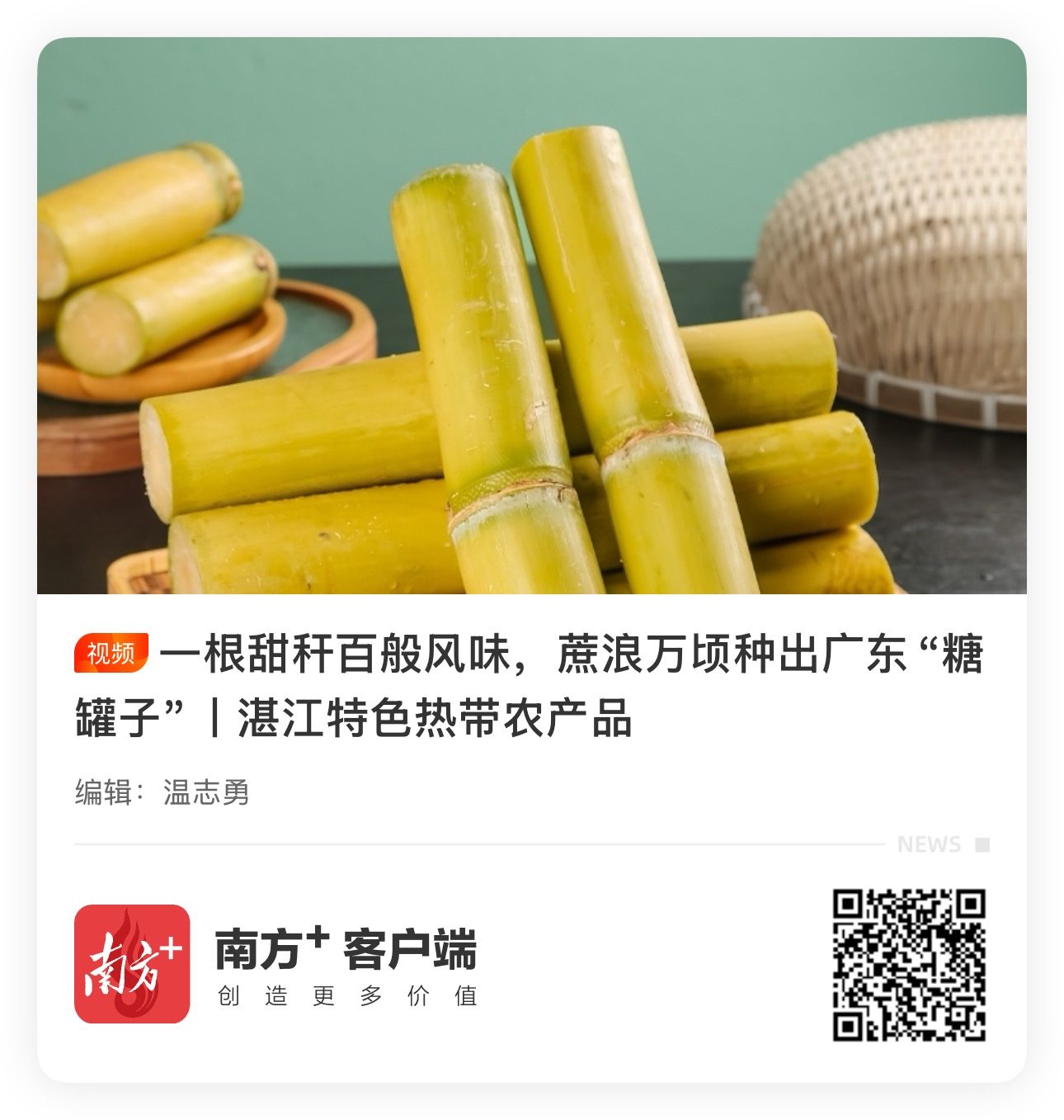 甘蔗