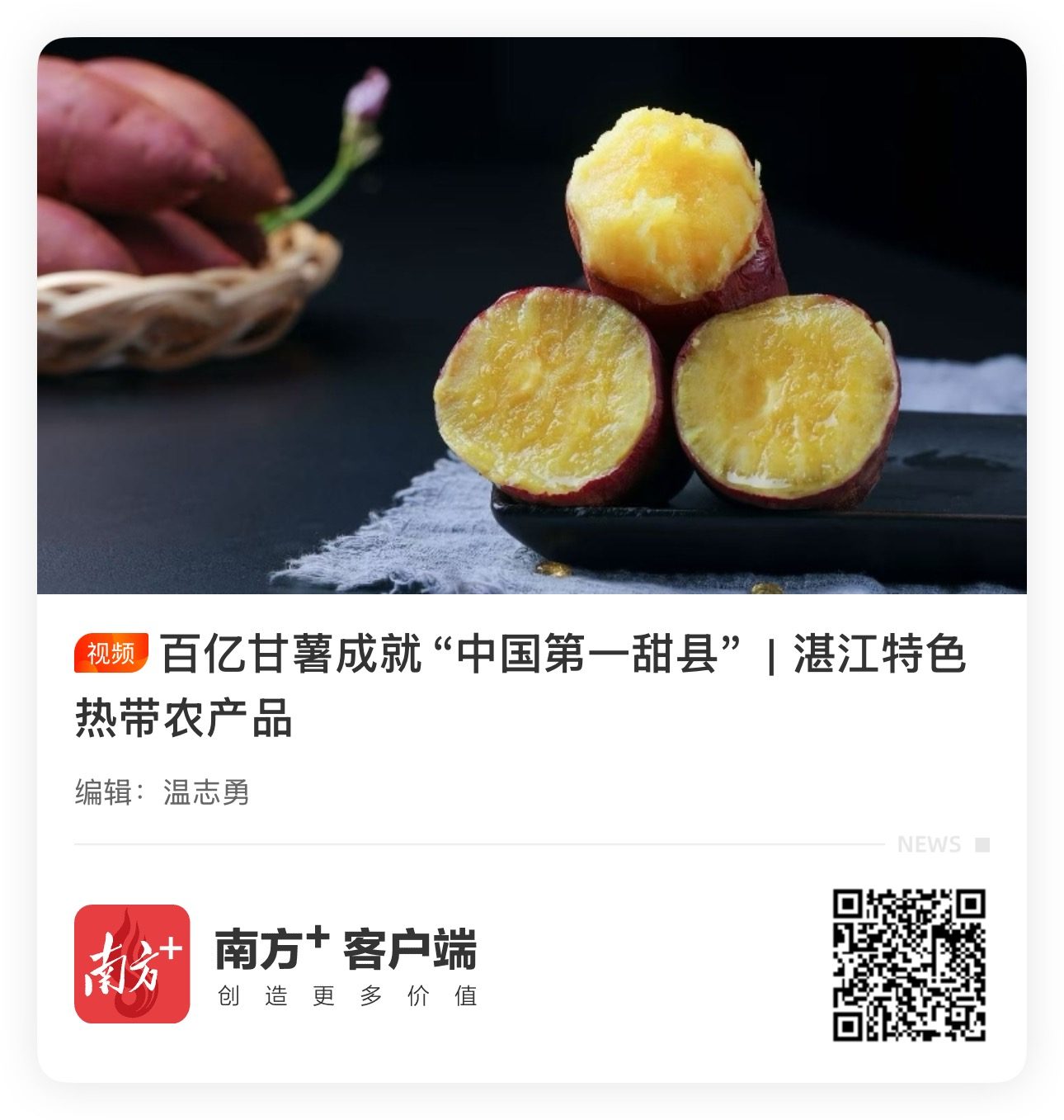 甘薯