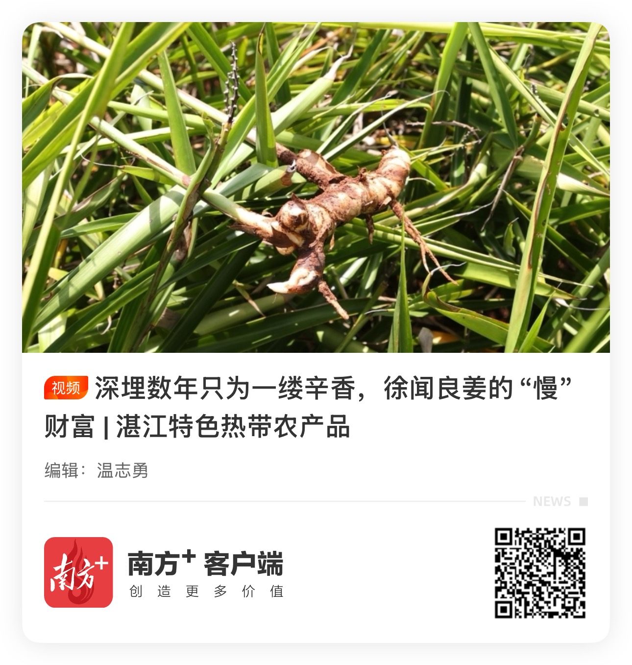 良姜